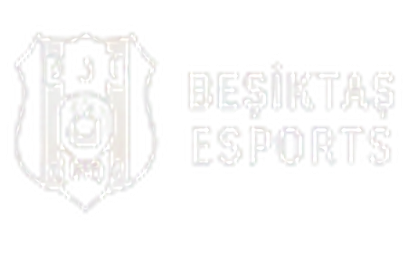 Beşiktaş Esports logo
